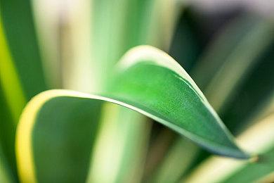 Roguelite俯视角射击游戏《忍者渔线传》Steam页面 2月8日发售